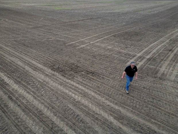 Steve Pitstick stands in newly planted soybean fields that he farms with his son, Dale, along Pouley Road in Elburn on April 18, 2024. Every year they plant several thousand acres of either soy beans or corn. (Stacey Wescott/Chicago Tribune)