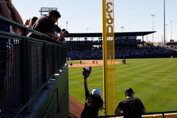 Fans try to get a ball in the outfield while the Chicago Cubs play the Chicago White Sox at spring training at Sloan Park Saturday Feb. 22, 2025, in Mesa, Arizona. (Armando L. Sanchez/Chicago Tribune)