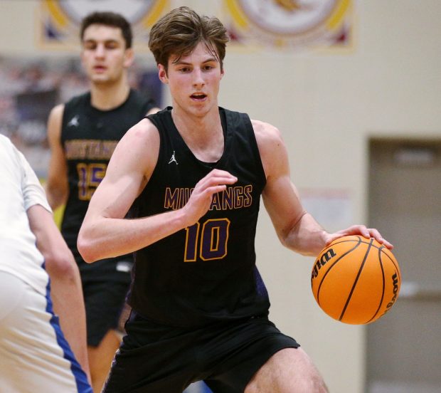 Rolling Meadows' Ian Miletic drives