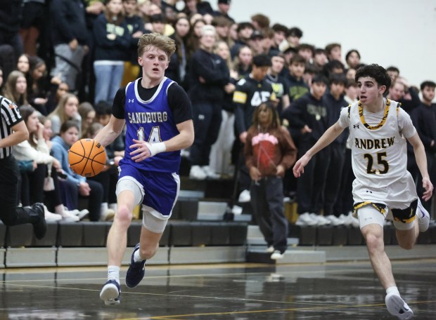 Sandburg's Connor Gleason (14) dribbles downcourt during a Southwest Suburban game at Andrew High School in Tinley Park on Friday, Jan. 31, 2025. (Talia Sprague / Daily Southtown)