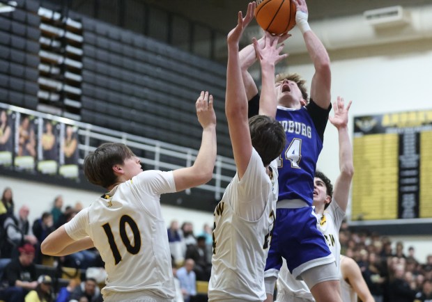 Sandburg's Connor Gleason (14) shoots a layup during a Southwest Suburban game at Andrew High School in Tinley Park on Friday, Jan. 31, 2025. (Talia Sprague / Daily Southtown)