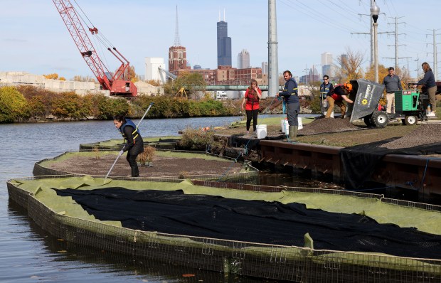 Elena Johannsen, far left, uses a pole to guide a floating wetland into place as she and groups of community volunteers from the Shedd Aquarium and Urban Rivers, along with student volunteers, prepare floating wetlands along the South Branch of the Chicago River on Oct. 27, 2022. (Antonio Perez/ Chicago Tribune)