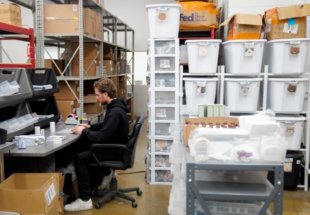 Jason Bielat, a member of the business management team at Invent Inc., packs 786 Cosmetics orders at their headquarters in Schaumburg on Feb. 6, 2025. Invent Inc. is the parent company of 786 Cosmetics. (Audrey Richardson/Chicago Tribune)