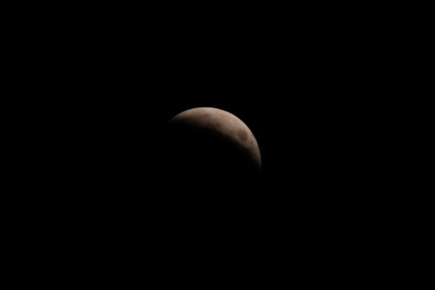 A lunar eclipse, is visible early Friday, March 14, 2025, in Chicago. (AP Photo/Kiichiro Sato)