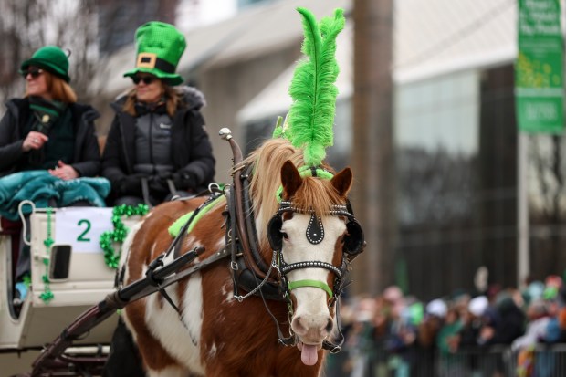 People ride a horse drawn carriage during the St. Patrick's Day parade on Saturday, March 11, 2023 in Chicago. (Shanna Madison / Chicago Tribune)