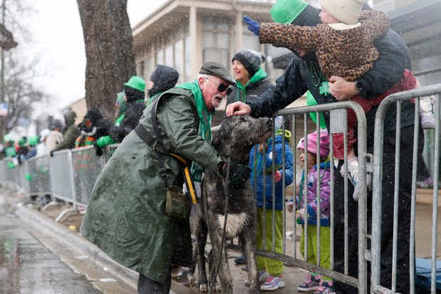 A man from the Irish American Alliance lets people pet his dog as he marches south on Western Avenue in the South Side Irish Parade in Beverly and Morgan Park on March 16, 2025. (Eileen T. Meslar/Chicago Tribune)