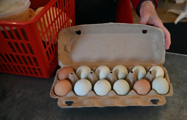 A carton of one dozen eggs cost $8.50 and limited to one carton per customer at the Elawa Farm Winter Market in Lake Forest on March 7, 2025. (Karie Angell Luc/Lake County News Sun)