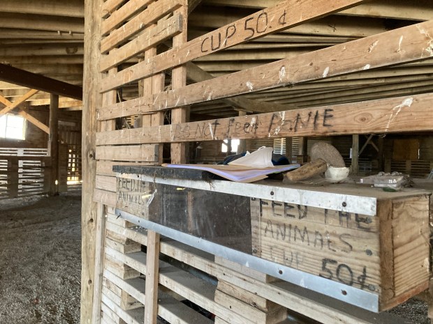 Writing scrawled on an interior area of the Manhattan Round Barn in Will County speaks to its more recent legacy as a petting zoo and family recreation destination. (Paul Eisenberg/Daily Southtown)