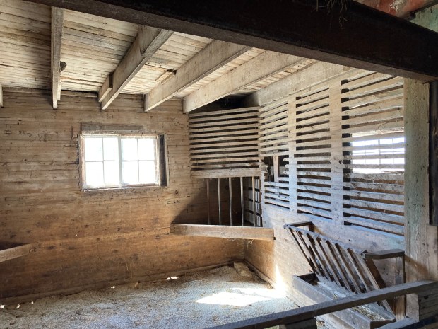 A stall inside the Manhattan Round Barn once was home to a member of "the best Guernsey herd in Will County," according to material from the Manahattan Park District. (Paul Eisenberg/Daily Southtown)