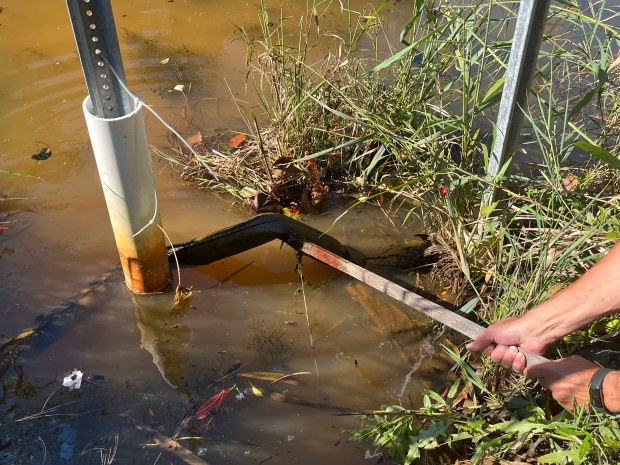 An absorbent boom installed in a contaminated pond at the Izaak Walton Nature in Homewood in 2022 to contain chemicals found in the water. (Samantha Moilanen/Daily Southtown)