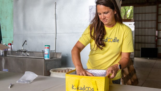 MariKate Thomas, co-owner of Kakadoodle, packages eggs in the Matteson farm's pole barn, which serves as the distribution hub. (Marty Thomas)