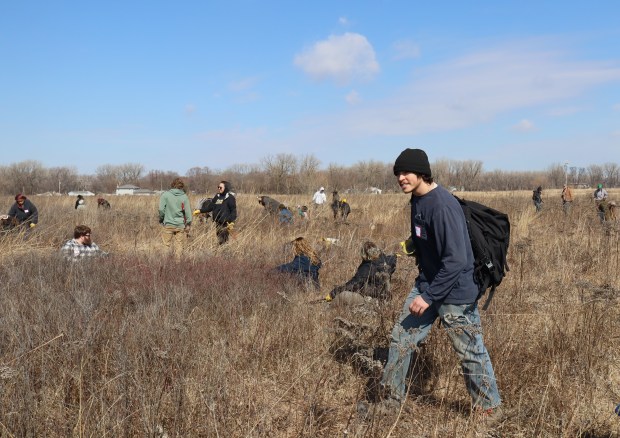 Noah Hornack, volunteer for Friends of Illinois Nature Preserves, prepares to get to work Saturday, March 8 at Gensburg-Markham Prairie in Markham as part of a new stewardship effort at the National Natural Landmark. (Susan DeGrane/Daily Southtown)