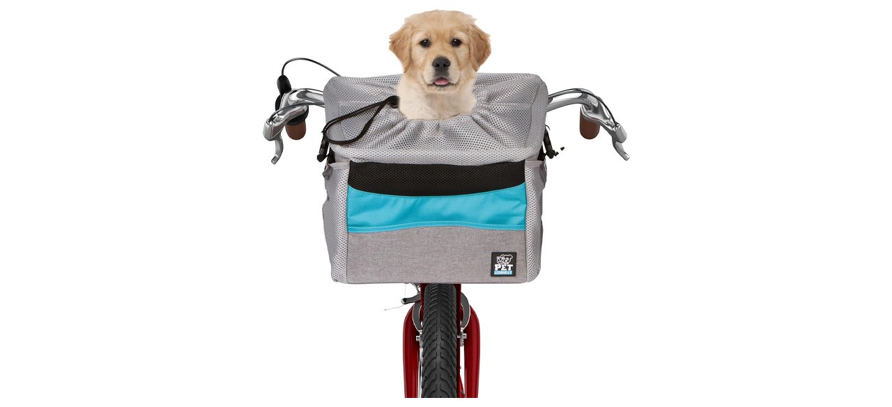 Pet Lovingly Dog Carrier