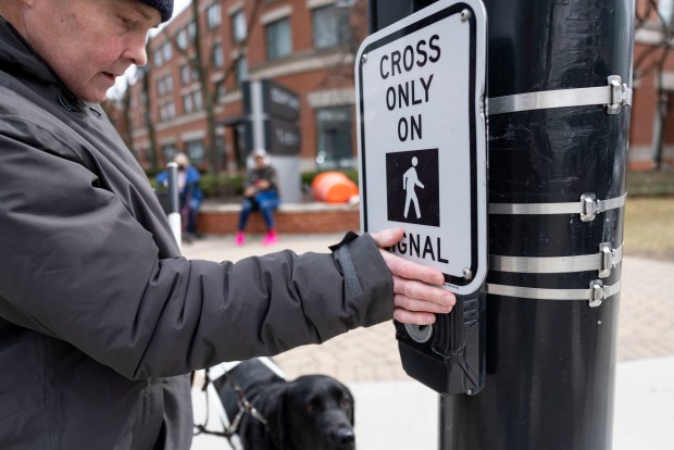 Peter Berg, who is blind, presses the button for an audible pedestrian signal while walking his service dog, Lloyd, on March 18, 2025, at South Ashland Avenue and West Harrison Street in the Illinois Medical District. (Brian Cassella/Chicago Tribune)