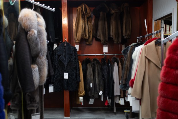 Fur coats on display at Island Furs on March 4, 2025, in Chicago. (Audrey Richardson/Chicago Tribune)