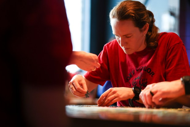 Andrea Bryson participates in a monthly puzzle race at Snakes & Lattes Chicago in Logan Square. (Eileen T. Meslar/Chicago Tribune)