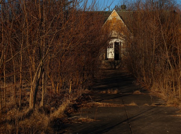 Overgrown trees surround buildings inside of the former Dwight Correctional Center on March 6, 2025 in Dwight. The women's prison closed in 2013 causing great economic loss to the community. (Stacey Wescott/Chicago Tribune)