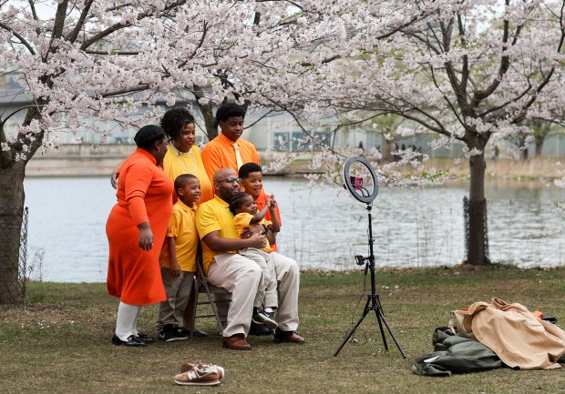 The Allen family takes Easter photos with the cherry blossoms near the Science and Industry Museum at Jackson Park on Thursday, April 17, 2025. (Eileen T. Meslar/Chicago Tribune)