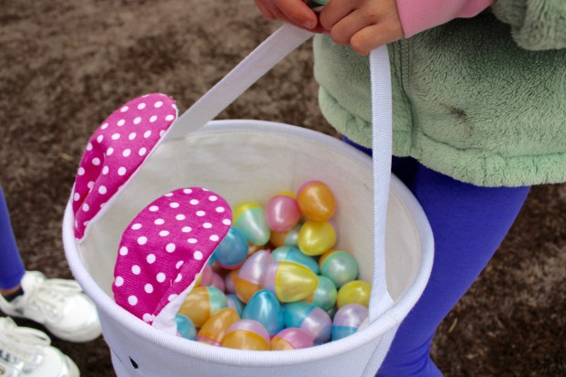 Hundreds of area children hunted for the plastic multi-colored, treat-filled eggs stuffed with candy and prizes during Egg Hunt Eggstravaganza 2025, hosted by Lake Forest Parks and Recreation on Saturday, April 19. (Gina Grillo/ for the Pioneer Press)