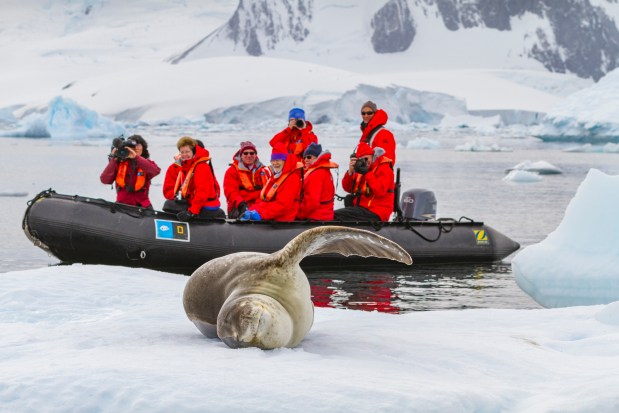 Lindblad Expedition guests see an adult female leopard seal at Brown Bluff near the Antarctic Peninsula, Southern Ocean. (Michael S. Nolan/Lindblad)