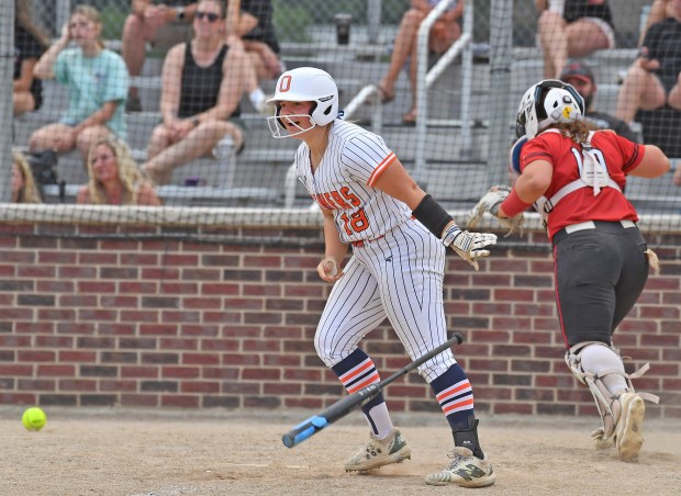 Oswego's Natalie Muellner drops the bat after being hit by a pitch for the second time in a game against Yorkville on Thursday, May 15, 2025 in Oswego.(Jon Cunningham/for The Beacon-News)