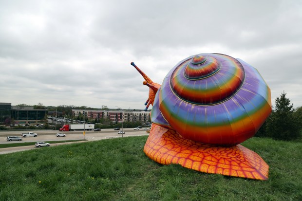 The Morton Arboretum hosts the exhibit "Vivid Creatures: Colorful Sculptures as Tall as Trees" by Heather BeGaetz and Fez BeGaetz. One of the sculptures, Spectra, the brittle button snail, is seen on May 5, 2025. (Terrence Antonio James/Chicago Tribune)