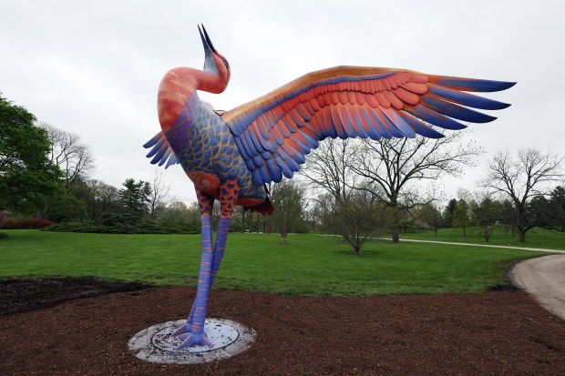 One of the sculptures, Cadence, a sandhill crane, is seen on May 5, 2025. (Terrence Antonio James/Chicago Tribune)