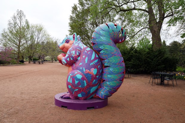 The Morton Arboretum in Lisle, IL, hosts the exhibit "Vivid Creatures: Colorful Sculptures as Tall as Trees" by Heather BeGaetz and Fez BeGaetz. Scamp, one of the sculptures at the exhibit, is a fox squirre. (Terrence Antonio James/Chicago Tribune)