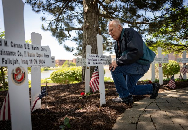 Joe Caruso, of Naperville, leaves roses at the crosses for his son, Marine Sgt. David M. Caruso, and other fallen veterans on May 25, 2025, during a Memorial Day event at the DuPage County Veterans' Memorial in Wheaton. Sgt. Caruso was killed in battle at Fallujah, Iraq, in 2004. The memorial, established at the county government center campus in 1999, commemorates DuPage residents killed in military conflicts since the Black Hawk War of 1832. "Memorial Day is for the heroes that are on these plaques," said George Kouba, a member of the group that has organized ceremonies at the site for 23 years. The memorial includes a sundial to acknowledge sacrifice through time and a garden of crosses for those who died most recently, in the war on terror. (Brian Cassella/Chicago Tribune)