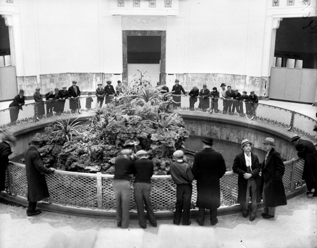 Interior views of the new John G. Shedd Aquarium in 1929. (Chicago Tribune historical photo)