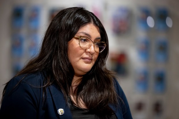 State Sen. Graciela Guzmán appears on Feb. 17, 2025, as Illinois officials gathered to oppose federal budget cuts to services. (Brian Cassella/Chicago Tribune)