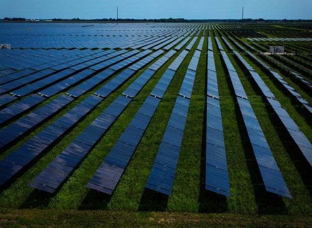 Double Black Diamond Solar near Waverly, south of Springfield seen on July 31, 2024. (E. Jason Wambsgans/Chicago Tribune)