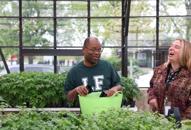Ja'Don Banks, left, and his greenhouse mentor, Shelby Chellberg, laugh as they work in the new greenhouse at Lambs Farm on May 22, 2025, in Libertyville. (Stacey Wescott/Chicago Tribune)