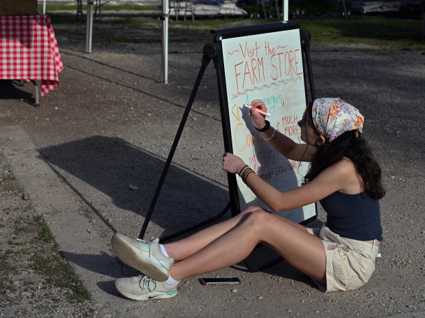 The calm before busy shopping aisles. Volunteer Savannah Stryker of Grayslake, 16, a Grayslake Central High School junior, readies messages on signage before the 8 a.m. opening of the plant sale at the Spring Plant Sale and Farm Festival on May 10, 2025 at Liberty Prairie (550 Harris Road) in Grayslake. (Karie Angell Luc/Lake County News-Sun)