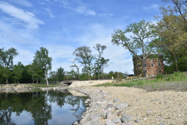 The shoreline near the Graue Mill where once a dam stood for nearly 100 years before being torn out in 2023. (Jesse Wright/Pioneer Press)
