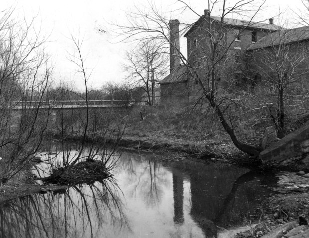Salt Creek runs free alongside the "abandoned grist mill at Fullersburg, Graue Mill" in April, 1931, several years before a dam was installed, in this Chicago Tribune historical photo. A dam installed in 1936 was removed in 2023 amid a restoration project. (Chicago Tribune historical photo)