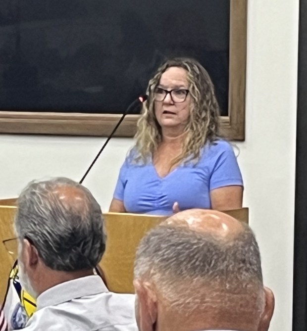 Sandy Wheeler speaks out against a proposed solar energy facility in New Lenox Township near the Fieldstone Subdivision during a Will County Board meeting May 15, 2025, in Joliet. (Michelle Mullins/for the Daily Southtown)
