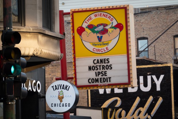 The Wieners Circle celebrates with a sign written in Latin which reads "He has eaten our dogs" on May 08, 2025 in Chicago. (Scott Olson/Getty)