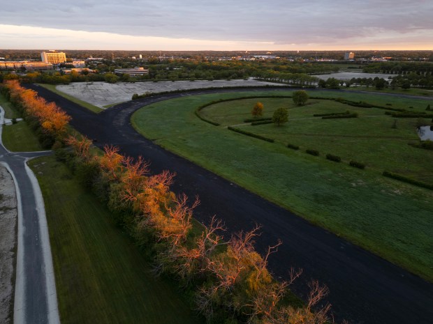 Rows of trees on the southern edge of the former Arlington International Racecourse are lit by the sunrise on May 23, 2025, in Arlington Heights. (Stacey Wescott/Chicago Tribune)