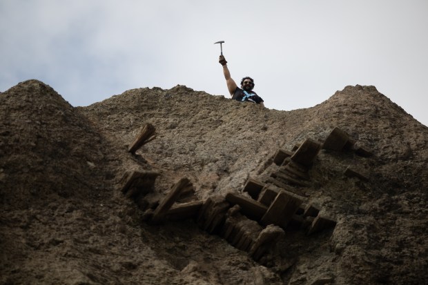 Arjan Mann, the assistant curator of fossil fish and early tetrapods at the Field Museum, raises his pickax after climbing to the top of a Mazon Creek fossil bed, which used to be the location of a Peabody Energy mine, May 8, 2025, in Braceville. (Audrey Richardson/Chicago Tribune)