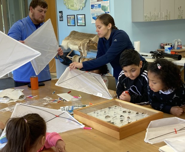 As a group of people make kites, one girl is looking at insect specimens. (Steve Sadin/For the Lake County News-Sun)
