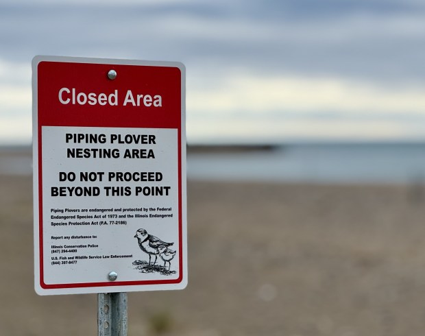 A sign on the beach in Waukegan marks the closed area where the plovers are nesting. (Carolyn Lueck/For the Lake County News-Sun)
