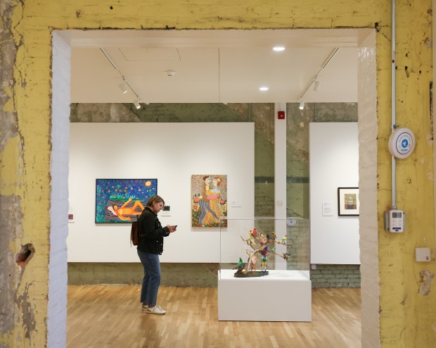 Healther Jackson looks at Bronislaw "Bruno" Sowa's bird sculpture featured in the exhibition "Catalyst: Im/migration and Self-taught Art in Chicago" at the Intuit Art Museum (IAM) on May 23, 2025, in Chicago. (Stacey Wescott/Chicago Tribune)