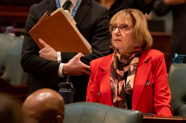 Majority leader and state Rep. Robyn Gabel watches a vote on the energy bill from the House floor on Jan. 7, 2025, at the Illinois State Capitol in Springfield. (Brian Cassella/Chicago Tribune)