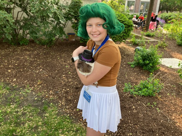 St. Francis Xavier student Monica Derus and her guinea pig named Piggy Stardust took first place in the 2025 La Grange Pet Parade's kids costume contest on Saturday in La Grange. (Hank Beckman/Pioneer Press)