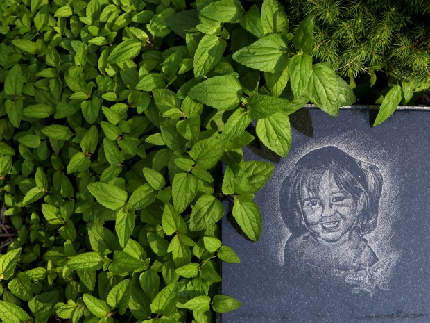 A tribute stone with the face of Riley Fox lays near a walking path at the Riley Fox Memorial Garden in Wilmington, Ill. on June 18, 2009. (David Pierini/Chicago Tribune)