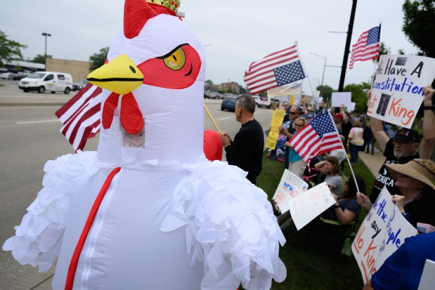 Dan Duran of Worth, IL wears a chicken costume with a crown on top during the south suburbs "No Kings Day" protest along LaGrange Road in Orland Park on June 14, 2025. (Andrew Burke-Stevenson/for the Daily Southtown)