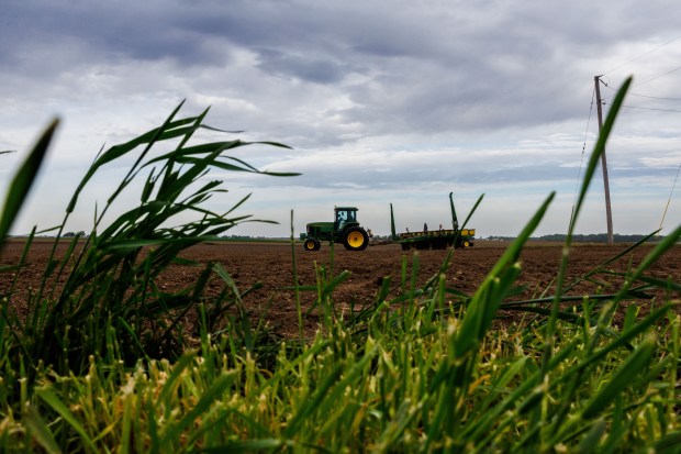 Hans Bishop plants uncoated corn seed, April 29, 2025, in downstate Atlanta. The field is near the home of Bishop's grandmother. (Armando L. Sanchez/Chicago Tribune)