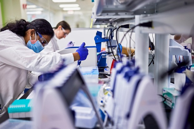 Developing cancer treatment, AbbVie scientists check on progress in the lab. (Courtesy of AbbVie)